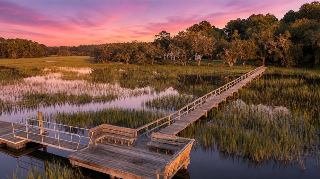 1358 Polly Point Road, Wadmalaw Island, SC 29487