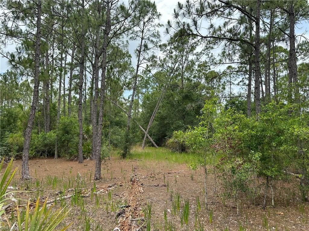 44th ST NE, NAPLES, FL 34120 — photo 3