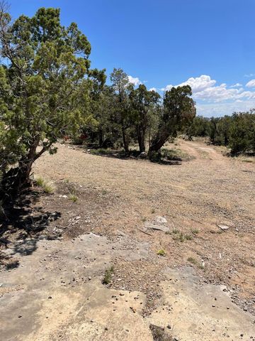 40 MORPER Lane, Edgewood, NM 87015