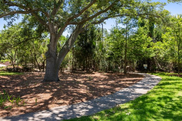 1525 Mossy Branch Way, Mount Pleasant, SC 29464