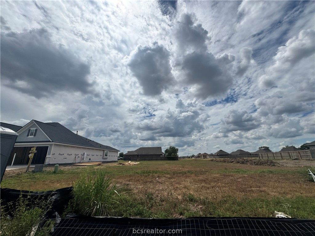 7803 Leadtree Drive, Navasota, TX 77868 — exterior