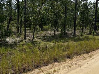 137 BEULAH DRIVE, Hawthorne, FL 32640