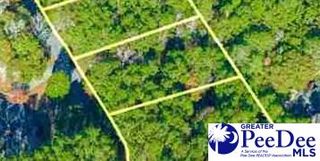 Lot 57 Country Club Road, Darlington, SC 29532
