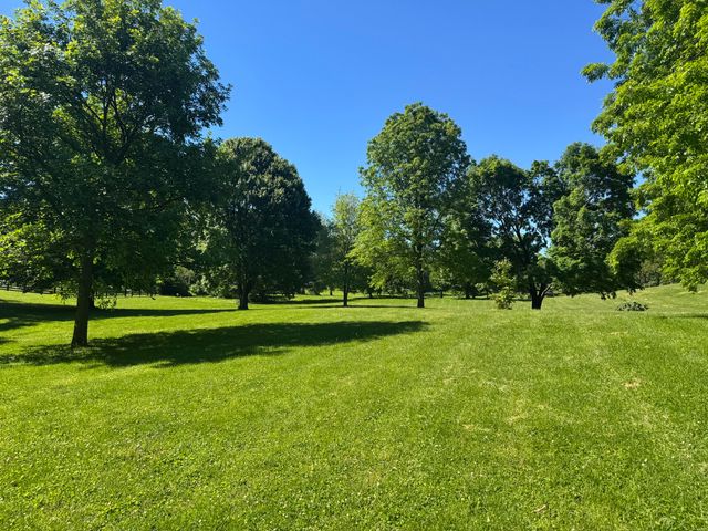 1119 Athenia Drive, Lexington, KY 40504