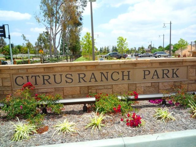 11739 Willard Avenue, Tustin, CA 92782