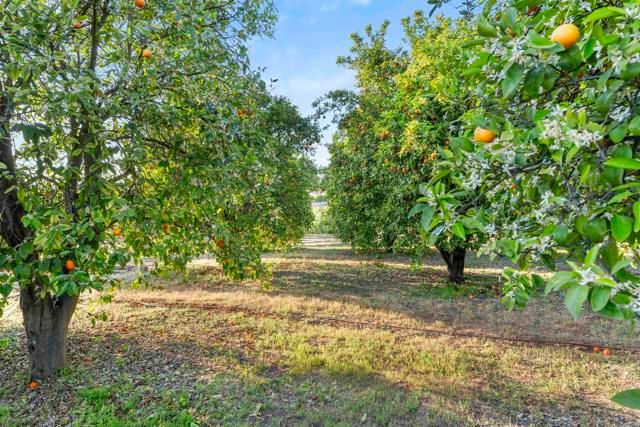 13371 Sage Meadow Lane, Valley Center, CA 92082