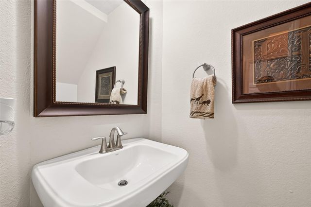 226 Auburn Shores Court, Richmond, TX 77469