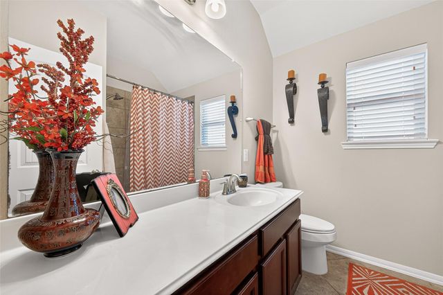 226 Auburn Shores Court, Richmond, TX 77469