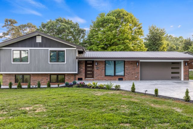 552 Dreamland Road, Spring City, TN 37381