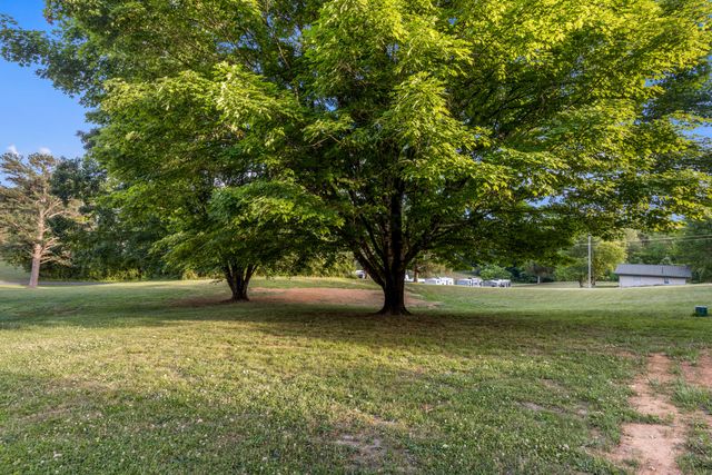 552 Dreamland Road, Spring City, TN 37381