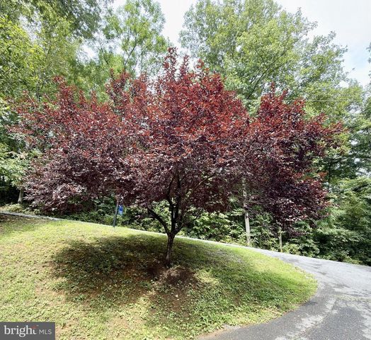 68 VIEW DR, Front Royal, VA 22630