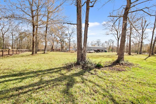 21020 Big Tree Drive, Crosby, TX 77532