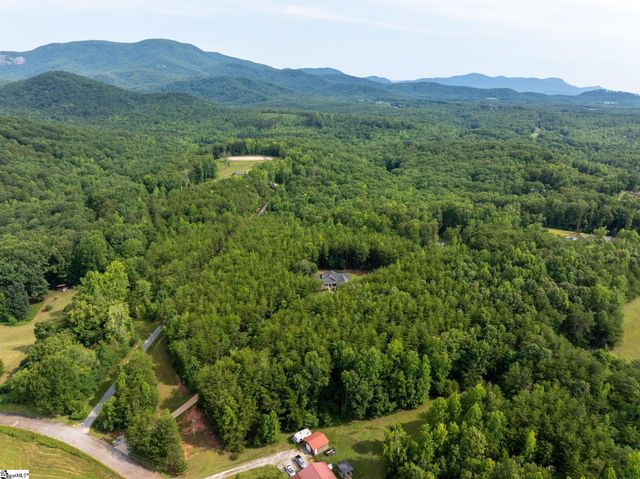110 Gosnell Farmer Road, Landrum, SC 29356