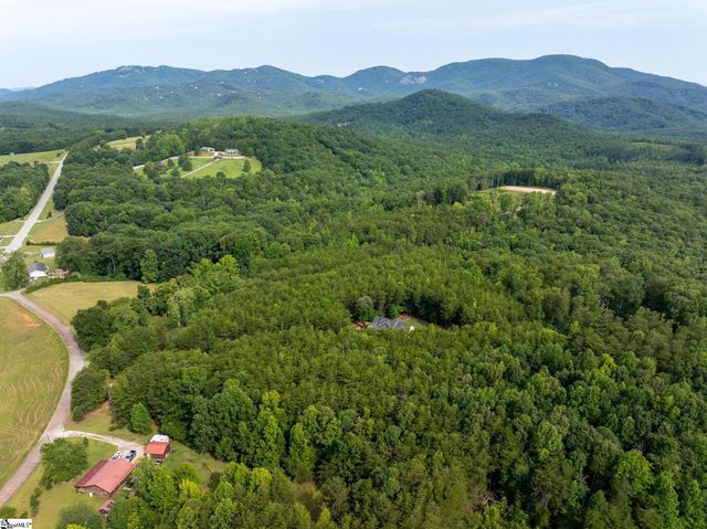 110 Gosnell Farmer Road, Landrum, SC 29356