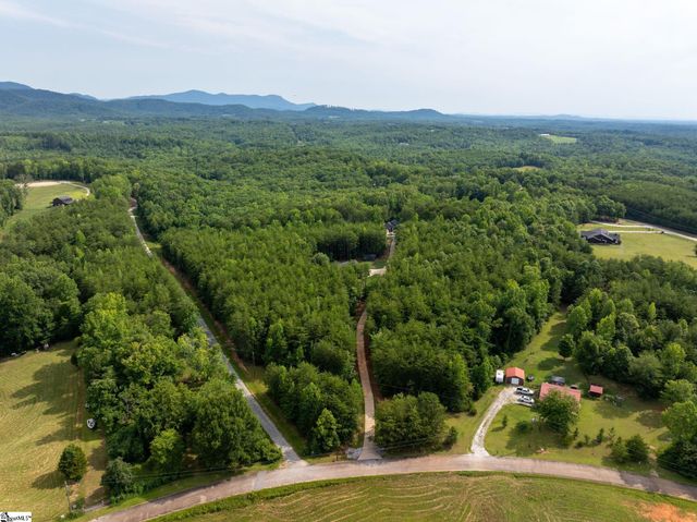 110 Gosnell Farmer Road, Landrum, SC 29356