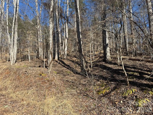 999 Echo Hill Drive 4, Green Mountain, NC 28740