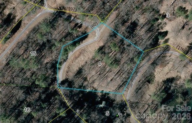 999 Echo Hill Drive 4, Green Mountain, NC 28740