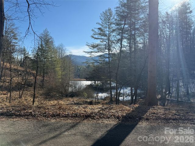 999 Echo Hill Drive 4, Green Mountain, NC 28740