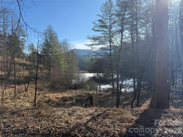 999 Echo Hill Drive 4, Green Mountain, NC 28740