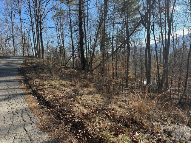999 Echo Hill Drive 4, Green Mountain, NC 28740