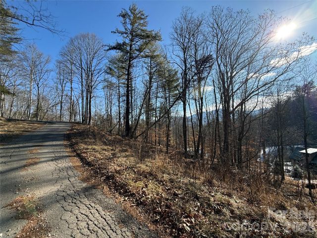 999 Echo Hill Drive 4, Green Mountain, NC 28740