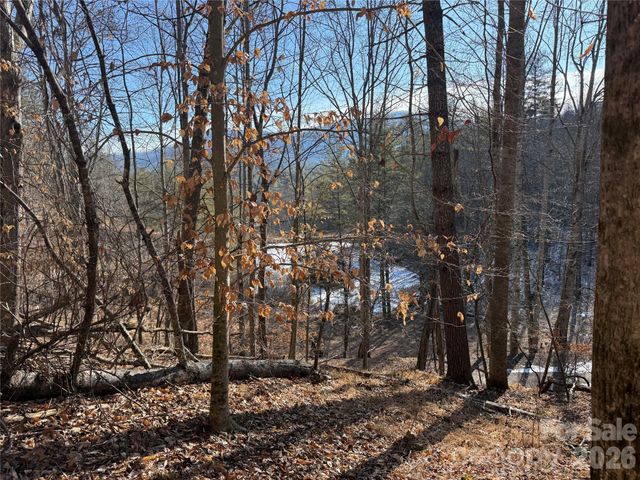 999 Echo Hill Drive 4, Green Mountain, NC 28740