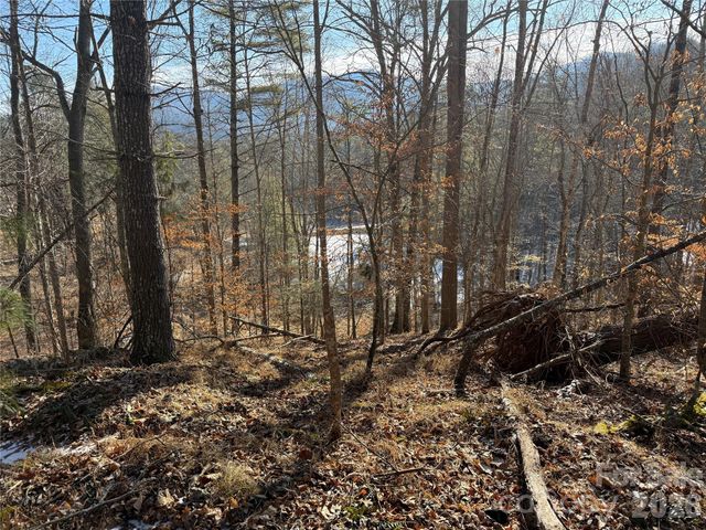 999 Echo Hill Drive 4, Green Mountain, NC 28740