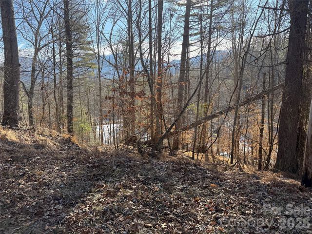 999 Echo Hill Drive 4, Green Mountain, NC 28740