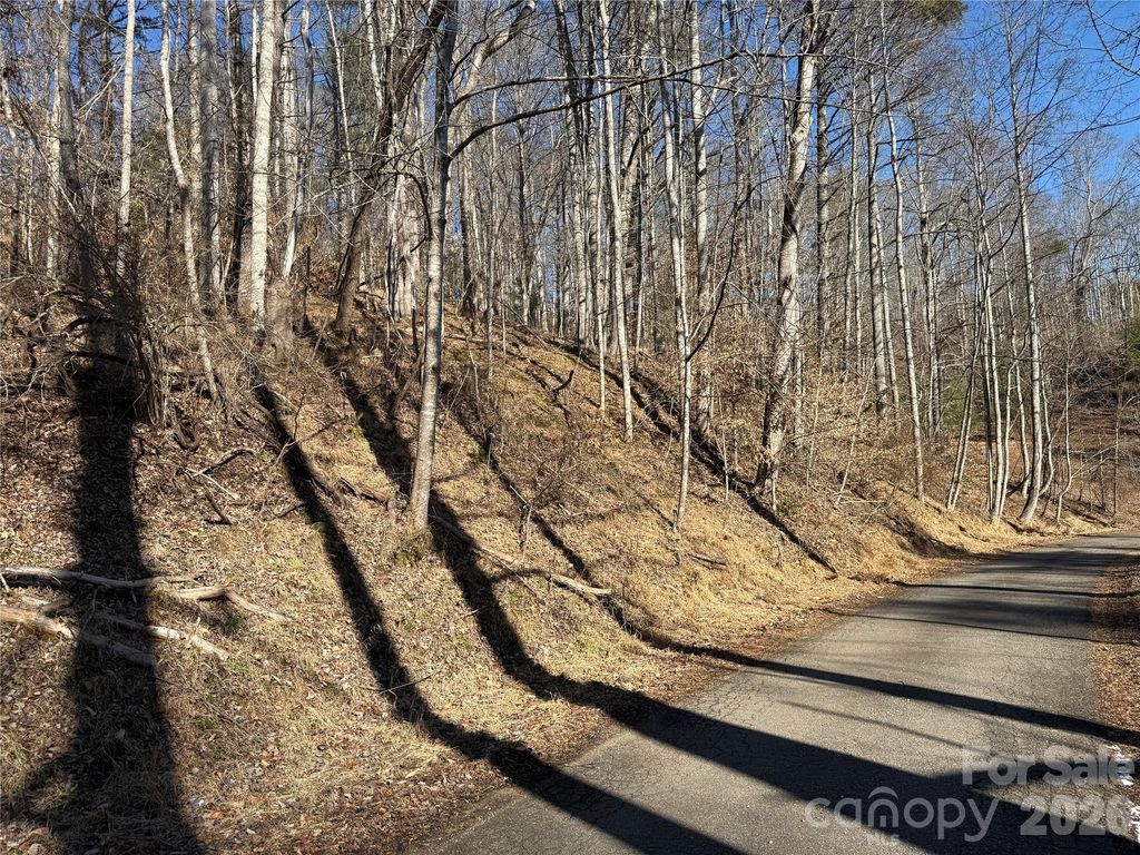 999 Echo Hill Drive 4, Green Mountain, NC 28740