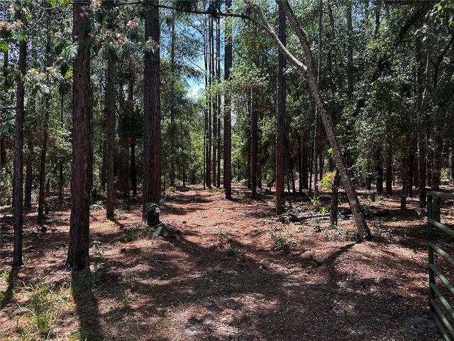 3890 SW 189TH AVENUE, Dunnellon, FL 34432