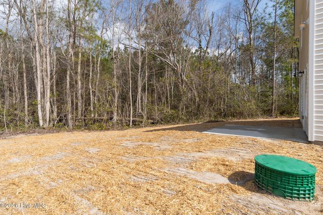 102 Palo Alto Park Drive, Maysville, NC 28555