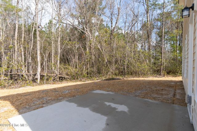 102 Palo Alto Park Drive, Maysville, NC 28555