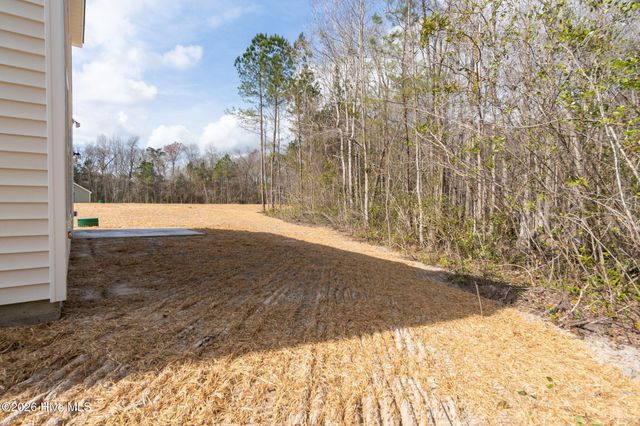 102 Palo Alto Park Drive, Maysville, NC 28555