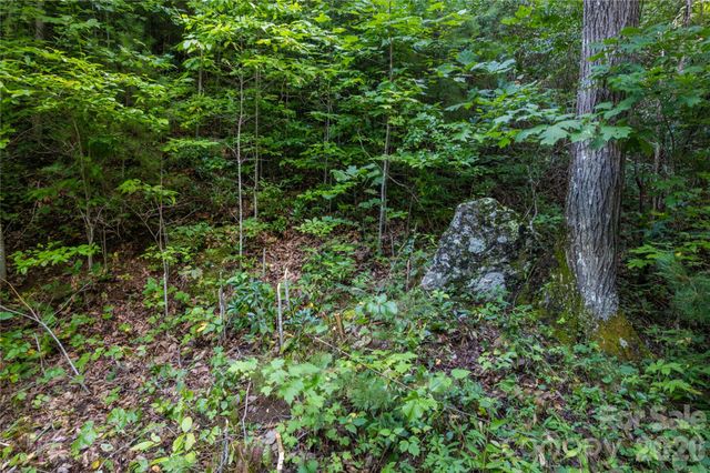 OFF Little East Fork Road L-1, Canton, NC 28716