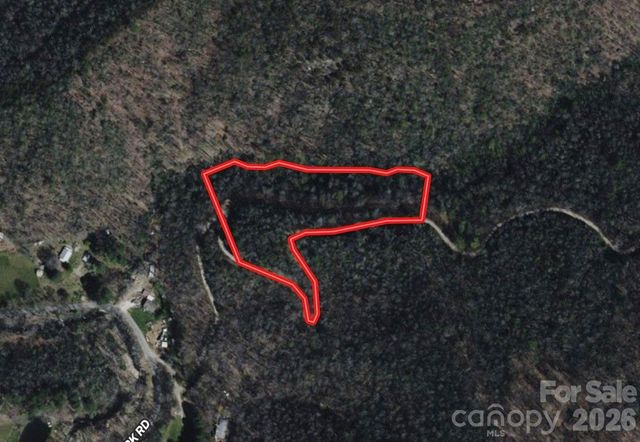 OFF Little East Fork Road L-1, Canton, NC 28716