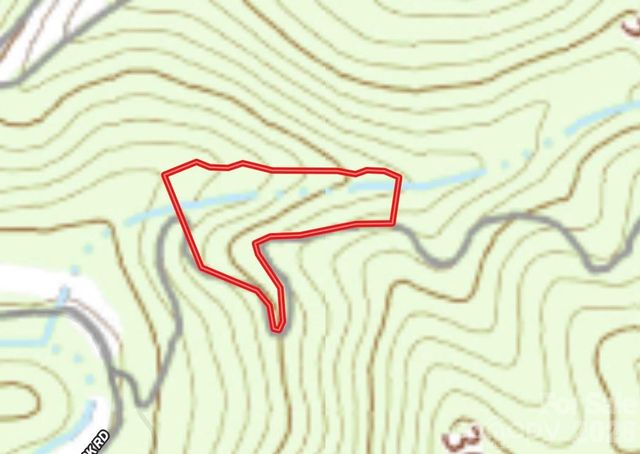 OFF Little East Fork Road L-1, Canton, NC 28716