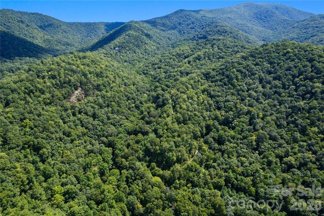 OFF Little East Fork Road L-1, Canton, NC 28716