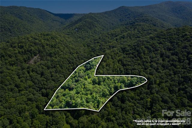 OFF Little East Fork Road L-1, Canton, NC 28716