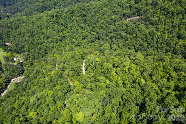 OFF Little East Fork Road L-1, Canton, NC 28716