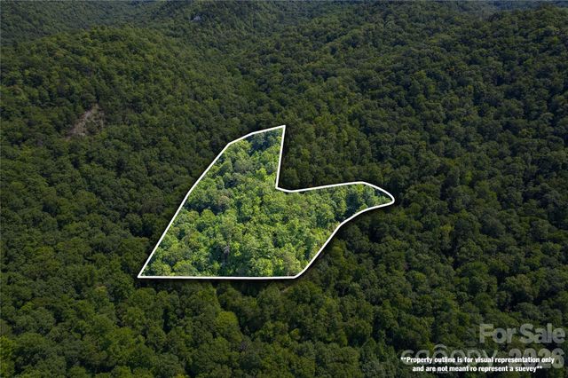 OFF Little East Fork Road L-1, Canton, NC 28716