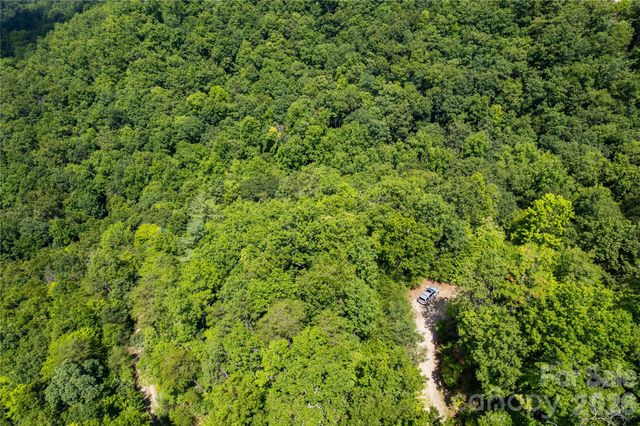 OFF Little East Fork Road L-1, Canton, NC 28716