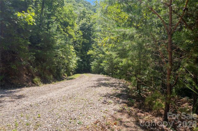 OFF Little East Fork Road L-1, Canton, NC 28716