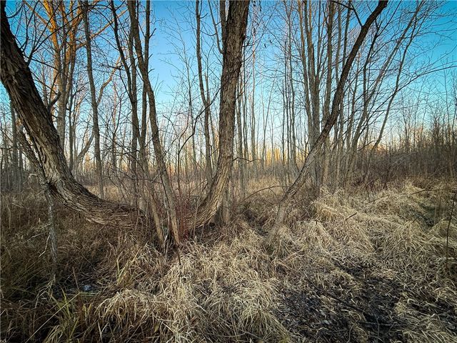 8188 104a, Wolcott, NY 14590