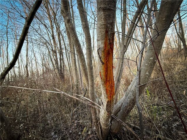 8188 104a, Wolcott, NY 14590