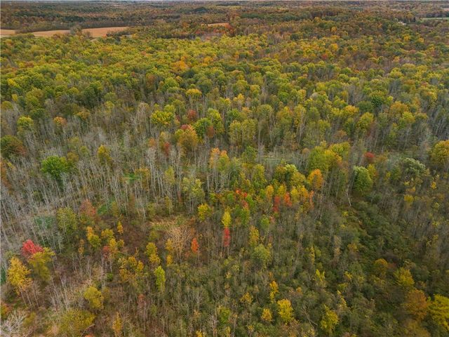 8188 104a, Wolcott, NY 14590