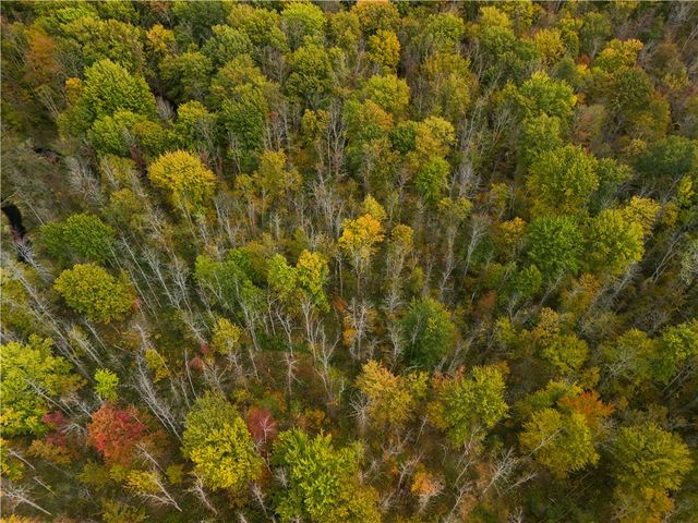 8188 104a, Wolcott, NY 14590