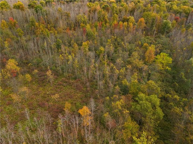 8188 104a, Wolcott, NY 14590