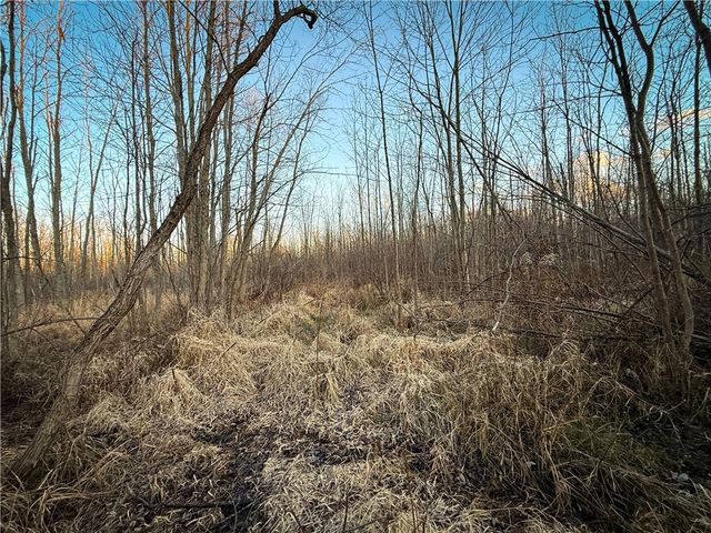 8188 104a, Wolcott, NY 14590