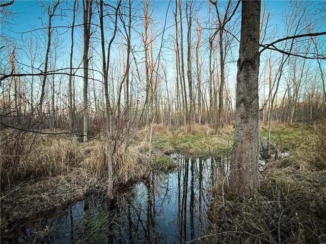 8188 104a, Wolcott, NY 14590