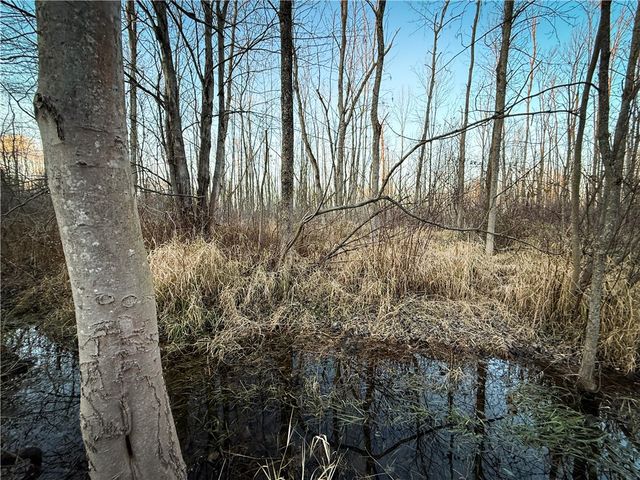 8188 104a, Wolcott, NY 14590